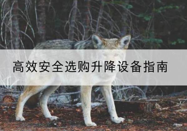 宜丰升降货梯厂家推荐-*安全选购升降设备指南