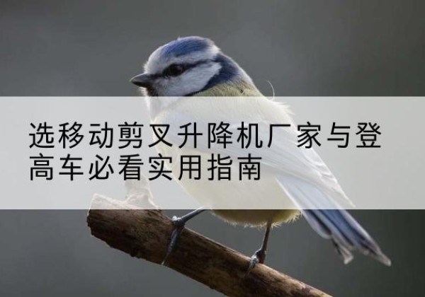宜丰电动升降机厂家-选移动剪叉升降机厂家与登高车必看实用指南