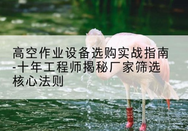 宜丰剪叉式升降机厂家-高空作业设备选购实战指南-十年工程师揭秘厂家筛选核心法则